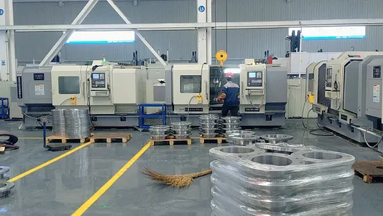 Hot Sale Forging Raised Face Stainless/Carbon Steel Slip on/Welding Neck/Blind/Pipe Fitting Flange